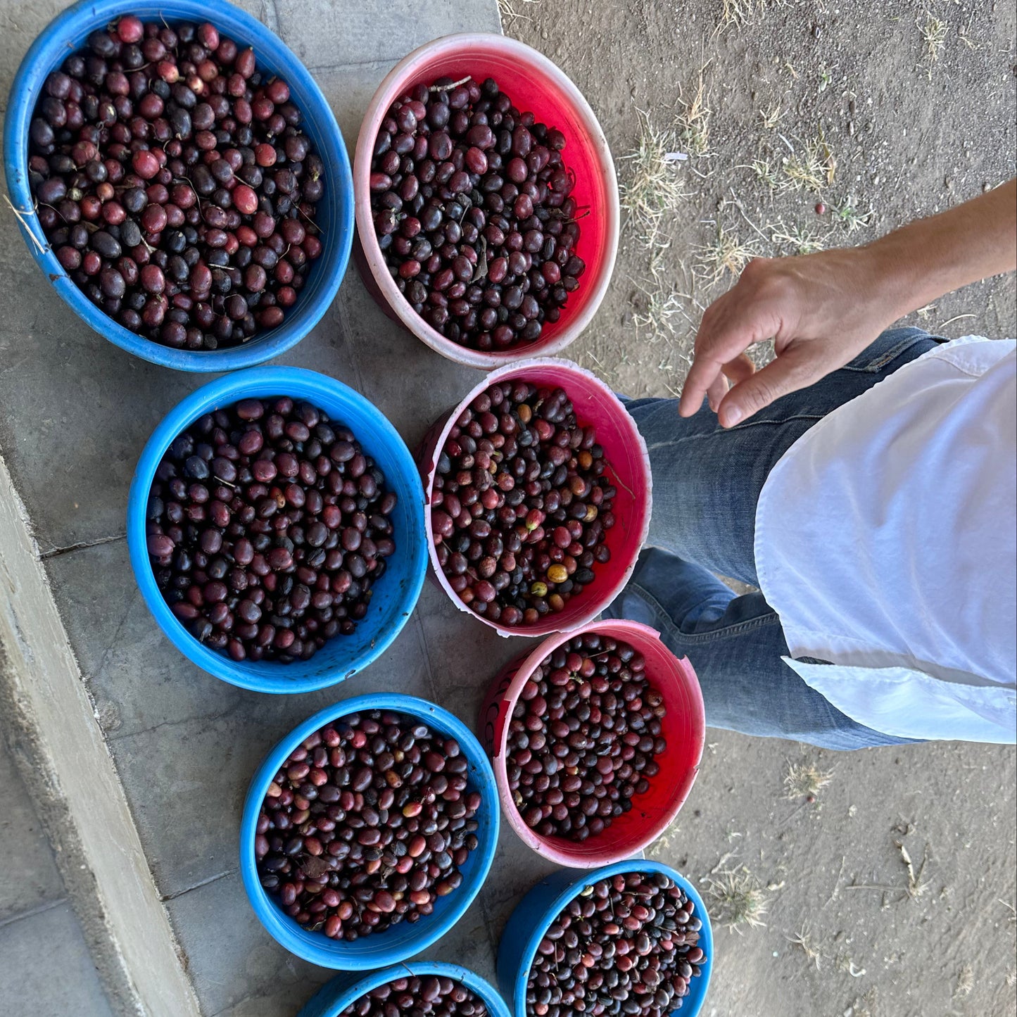 El Salvador San Beneficio Miguel Natural Process
