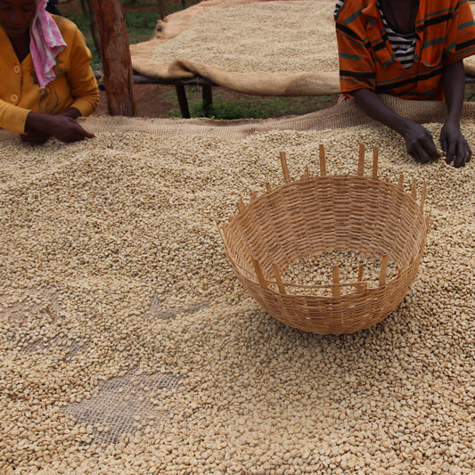*New* Ethiopia Banko Gotiti Anaerobic Pineapple Co-Ferment