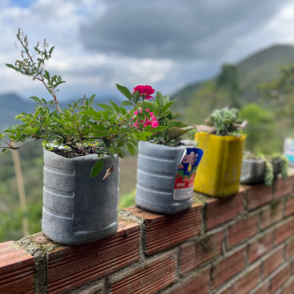 Peru Cajamarca