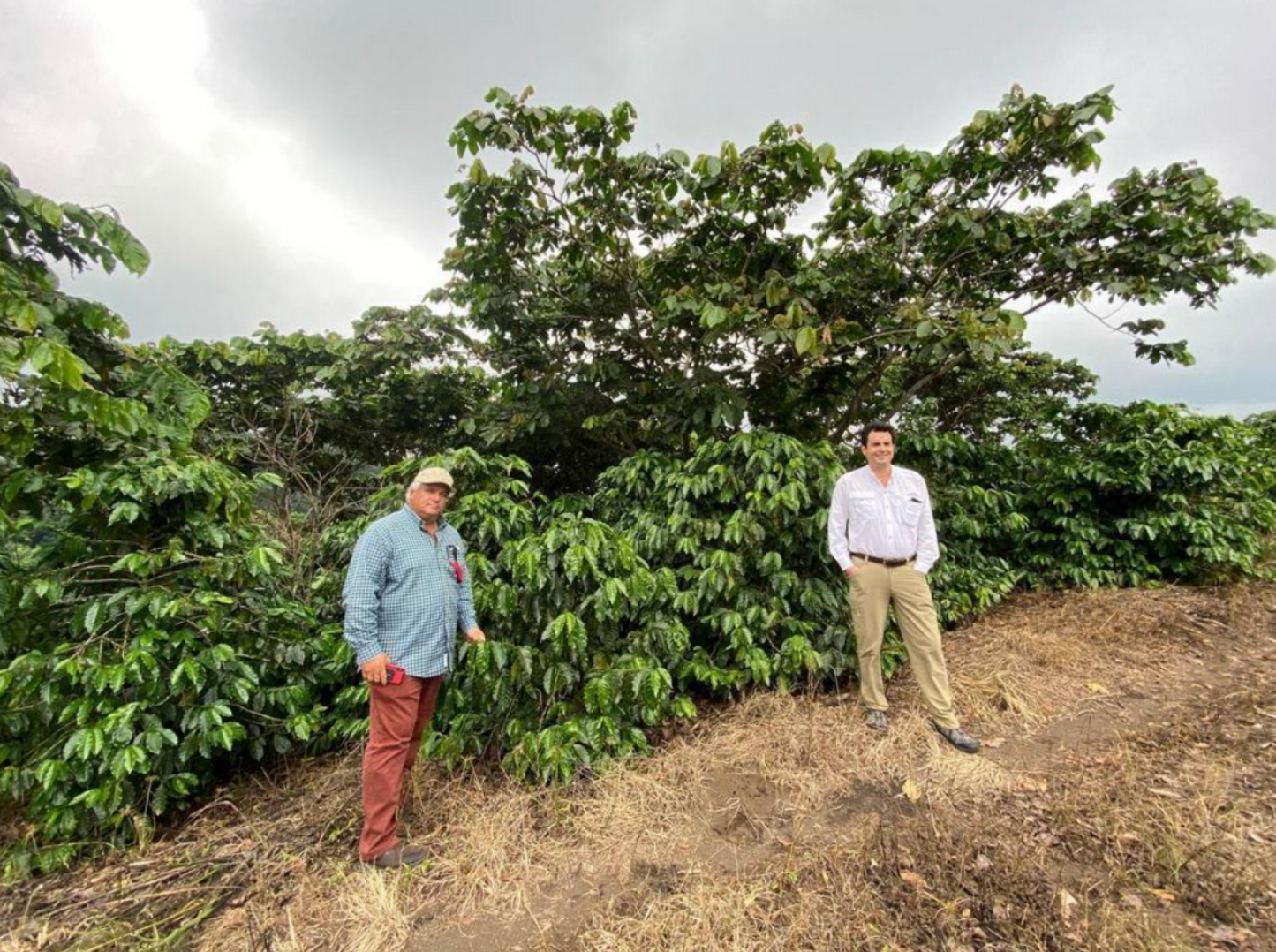El Salvador San Beneficio Miguel Natural Process