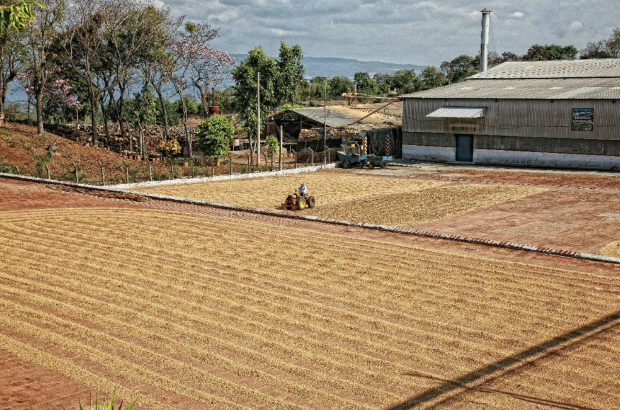 El Salvador San Beneficio Miguel Natural Process