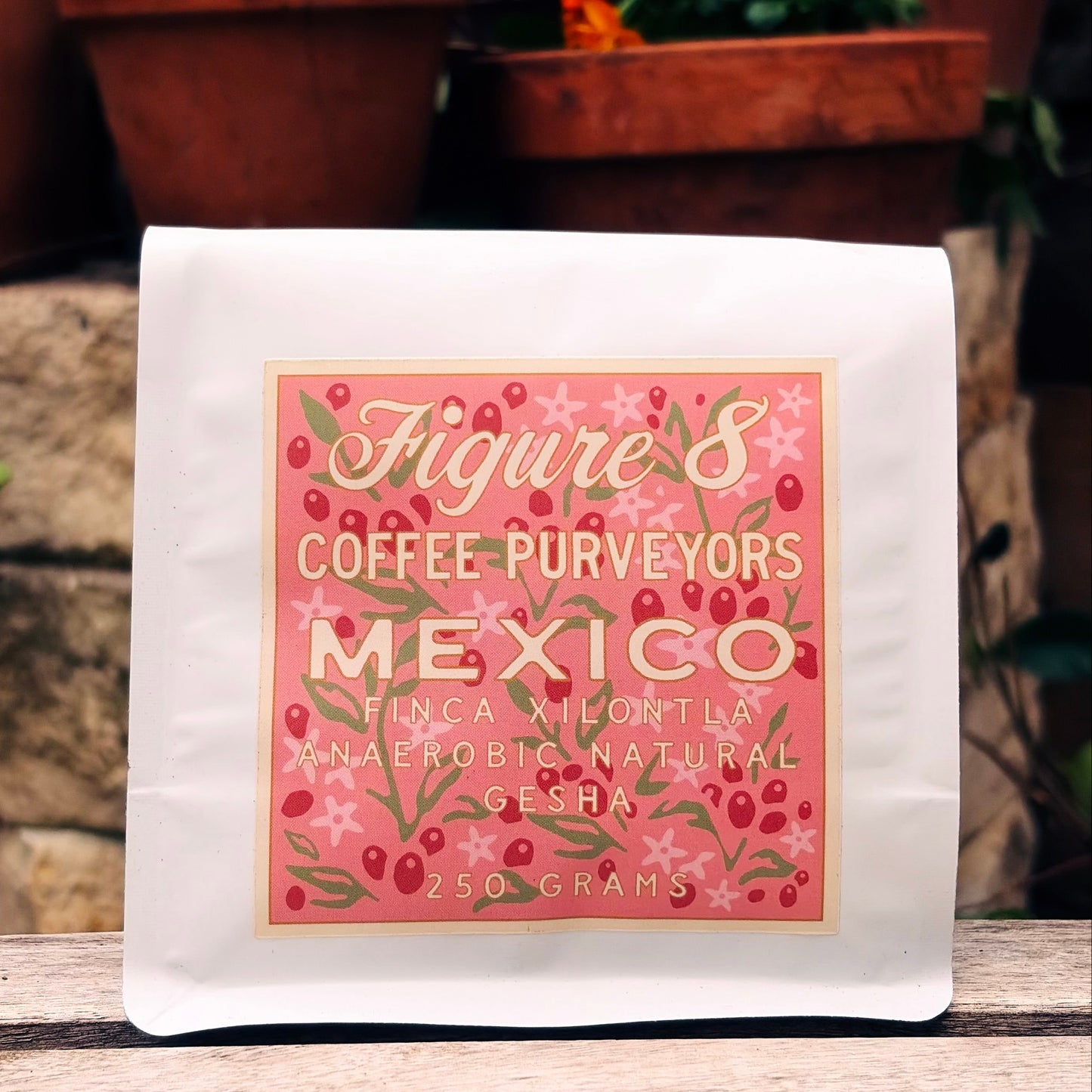 *New and Limited!* Mexico Xilontla Gesha Anaerobic Natural - 250 Grams