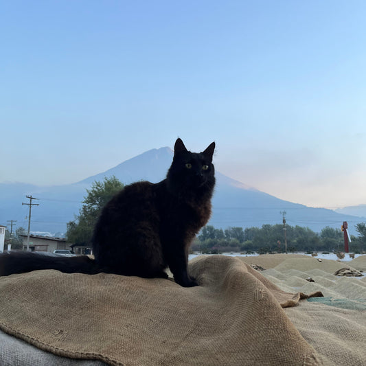 Roaster's Choice Subscription