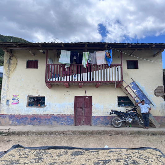 *NEW* Peru Perlamayo Anaerobic Natural