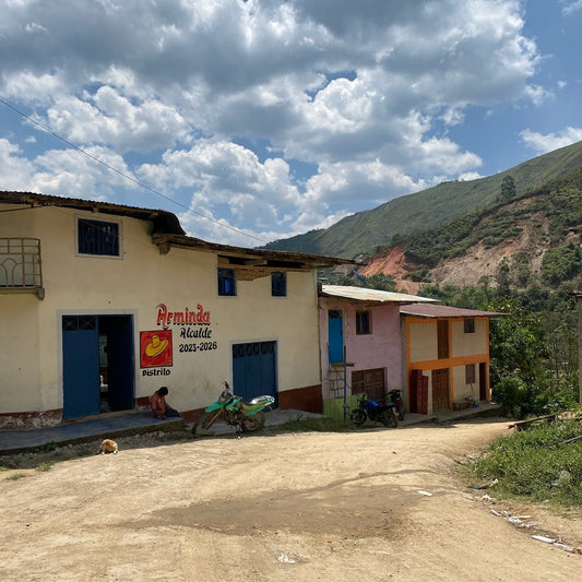 Peru San Antonio - Natural - Wholesale